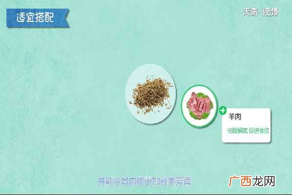 孜然的功效与作用及食用方法 孜然的功效与作用