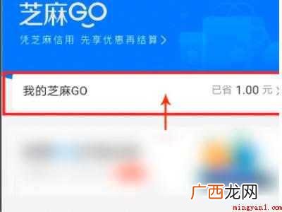 演示机型:Iphone 12 芝麻购开通怎么关闭