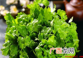 你为什么不喜欢香菜 香菜闻起来是什么味道 你为什么不喜欢香菜