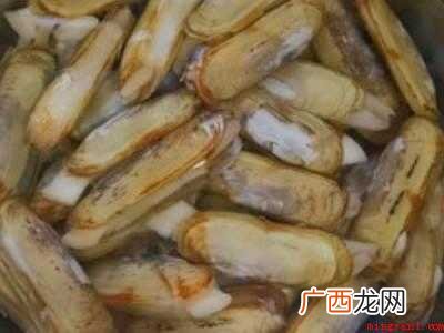 蛏子的清洗方法和做法