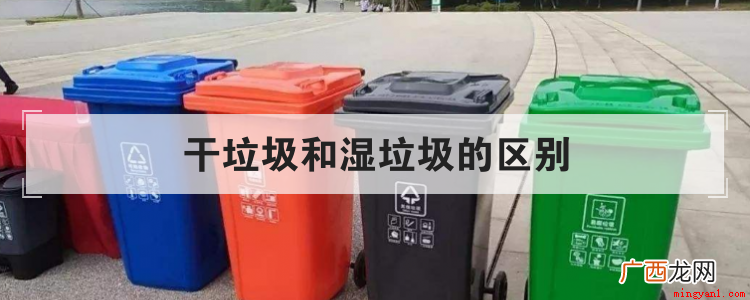 一般干垃圾和湿垃圾有什么区别 干垃圾和湿垃圾的区别