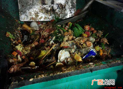 一般干垃圾和湿垃圾有什么区别 干垃圾和湿垃圾的区别