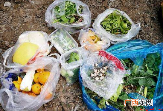 一般干垃圾和湿垃圾有什么区别 干垃圾和湿垃圾的区别