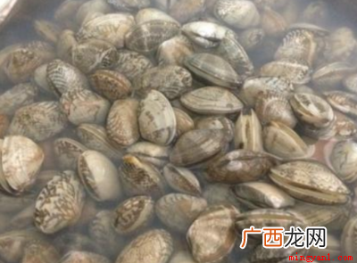 花甲怎么清洗比较干净 花甲怎么清洗