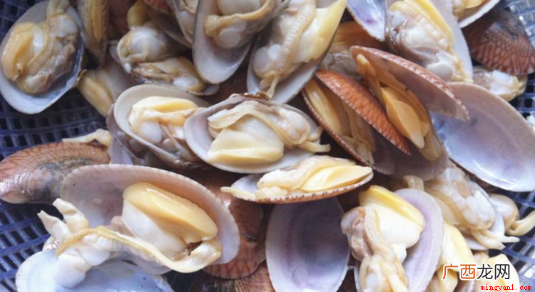 花甲怎么清洗比较干净 花甲怎么清洗