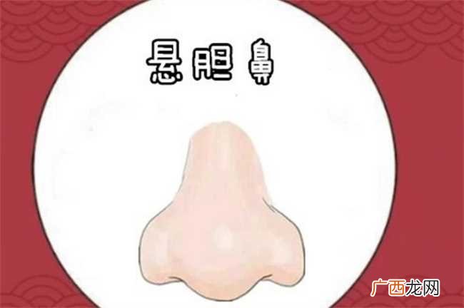 面相鼻子高挺财气旺盛 鼻子高的人财运好吗
