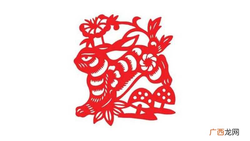 属兔和属龙的合不合婚 属兔和属龙的合不合