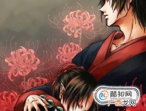彼岸花的故事 花叶永不相见 彼岸花的故事是什么
