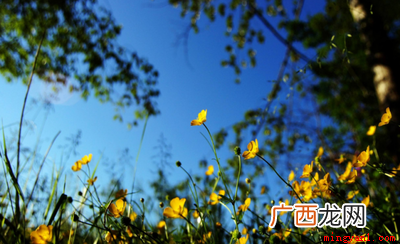 华为智慧手铐的价格是多少 251什么意思