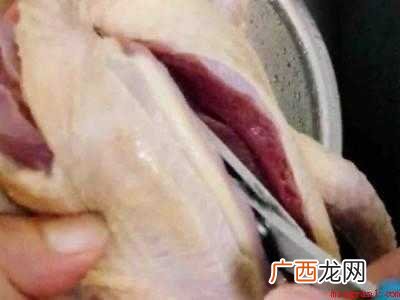 鸽子怎么做