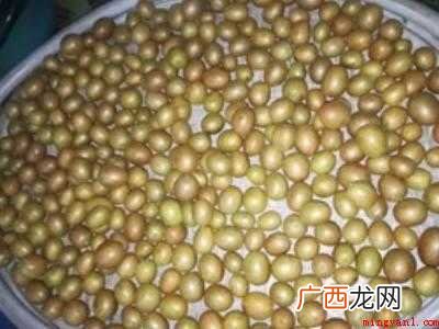 黄皮果酒的制作方法