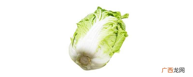 绍菜和大白菜是没有区别的 绍菜和大白菜的区别