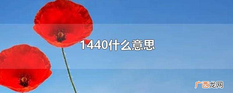 1440什么意思啊 1440什么意思