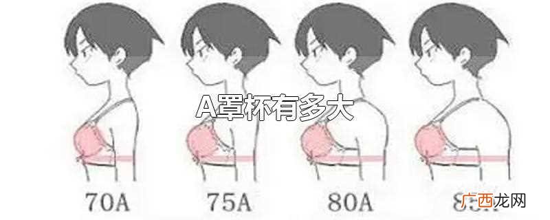 全身瘦的A罩杯身姿在如今的年代也赶上潮流 A罩杯有多大