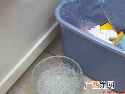 如何消灭苍蝇的好方法