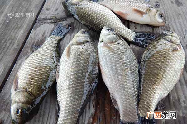 鲤鱼怎么做好吃又简单