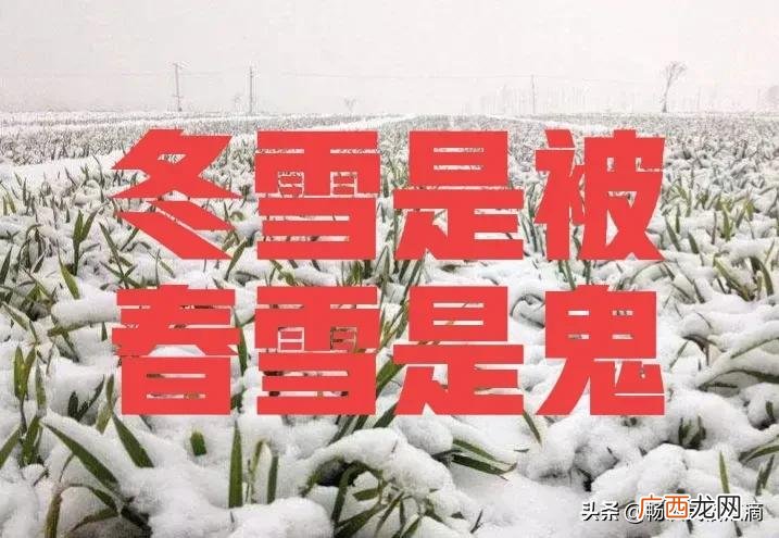 民间说法关于春天二月雪花飘的预兆 春天下雪好吗