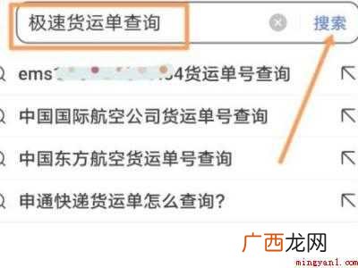 演示机型:Iphone 12 极速物流怎么查单号