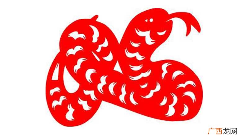 属蛇男人大多具有精明的眼光和高人一筹的谋略 蛇和蛇合不合