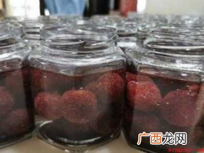 杨梅罐头的制作方法步骤