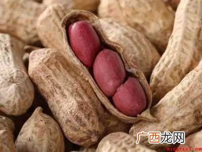 花生生虫子处理小诀窍