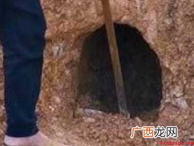 烧炭的方法和步骤