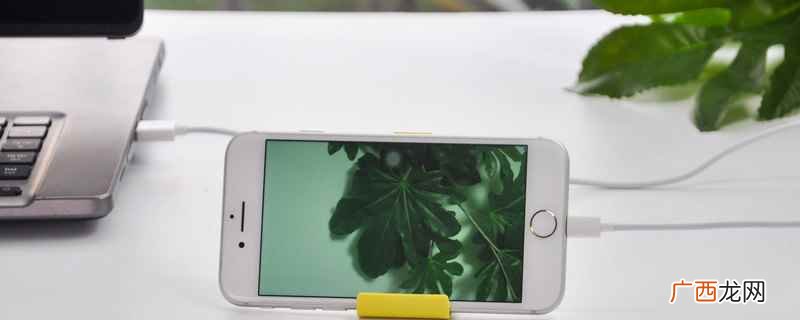 苹果手机怎么下载铃声做来电铃声 苹果手机怎么下载铃声