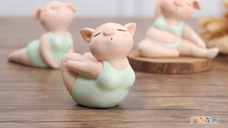 属猴和属猪的生肖配对速配度 属猪和属猴的合不合