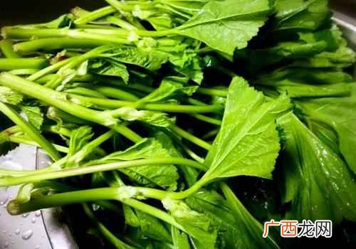 营养价值据测定每100克鲜食 冬寒菜的功效与作用,冬寒菜的营养价值