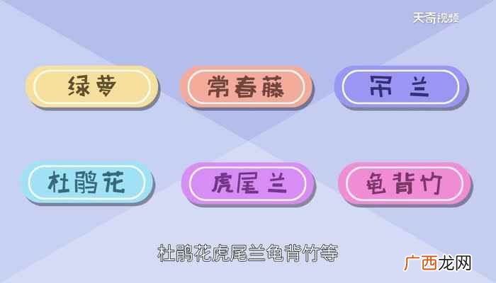 吸收甲醛的植物排名 吸收甲醛的植物