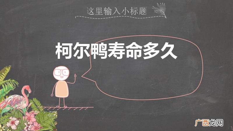 柯尔鸭养多久成年 柯尔鸭寿命多久