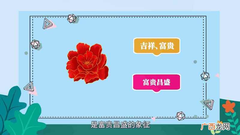 牡丹花语和象征意义 牡丹花语