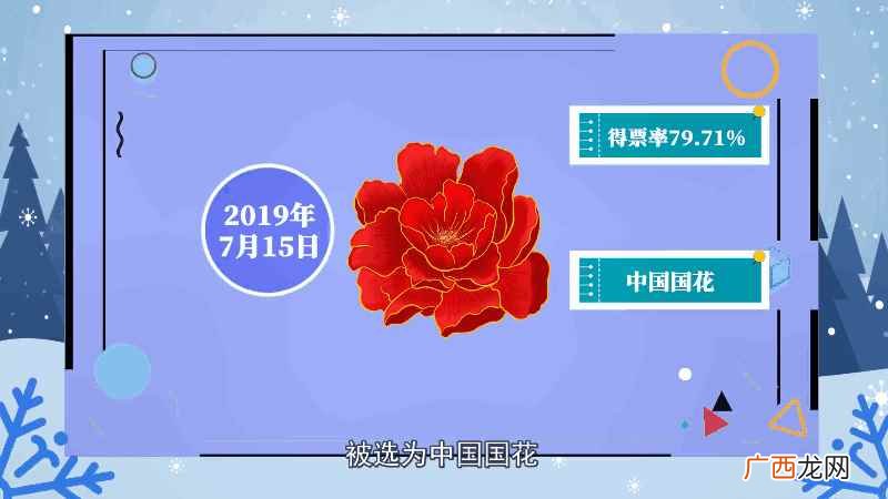 牡丹花语和象征意义 牡丹花语