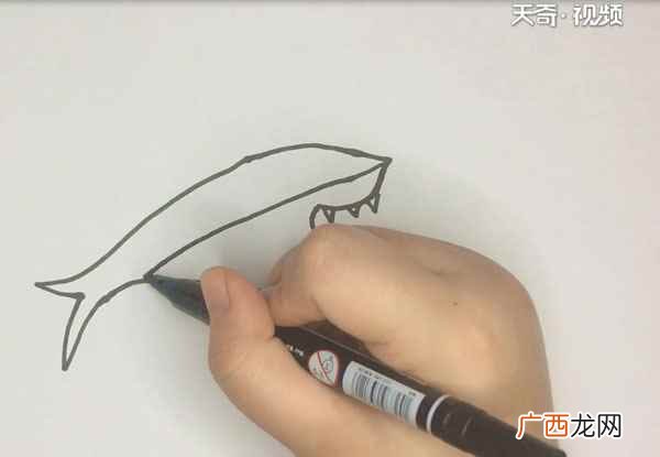 深蓝色把鲨鱼的背部涂满 鲨鱼的简笔画