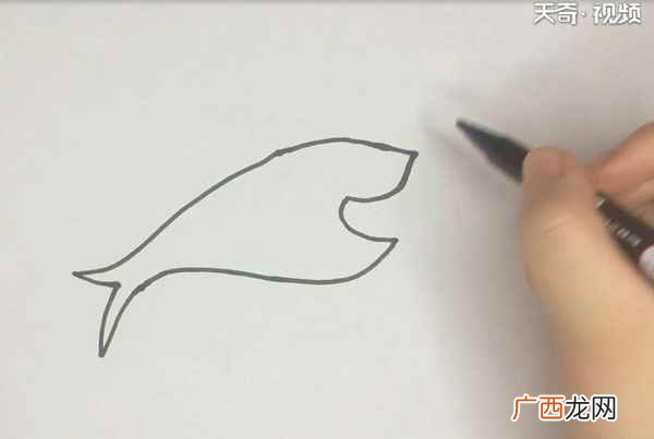 深蓝色把鲨鱼的背部涂满 鲨鱼的简笔画