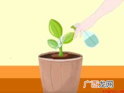 土里肥肥的大白虫怎么消除