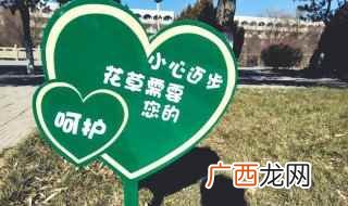 保护花草树木的标语怎么写 保护花草树木的标语
