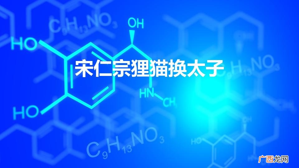 宋仁宗狸猫换太子（宋仁宗狸猫换太子真相)