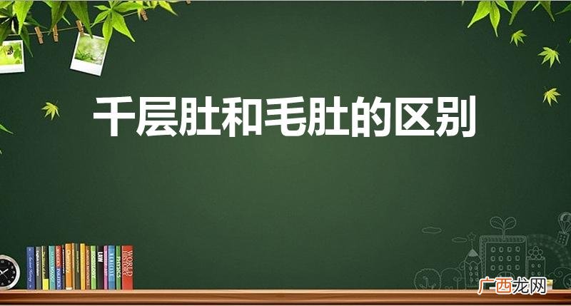 毛肚跟千层肚有什么区别 千层肚和毛肚的区别