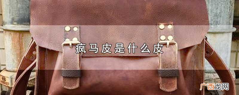 疯马皮是什么皮的优点和缺点 疯马皮是什么皮