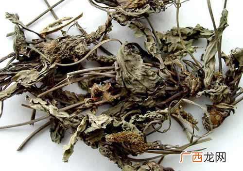 车前草的功效与作用及禁忌症 车前草的功效与作用及禁忌