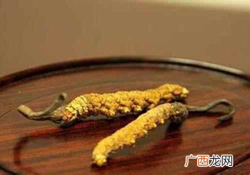 冬虫夏草的功效与作用食用方法 冬虫夏草的功效与作用及食用方法
