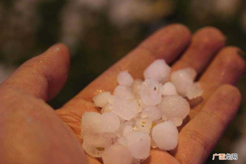 为什么冰雹会有毒 冰雹有毒吗