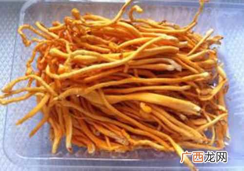 虫草花和冬虫夏草的区别在哪 虫草花和冬虫夏草的区别
