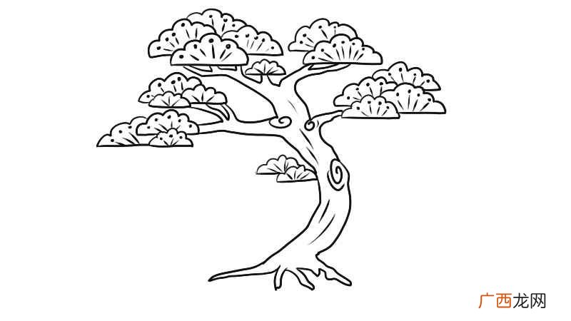 松树简笔画简单又好看 松树简笔画