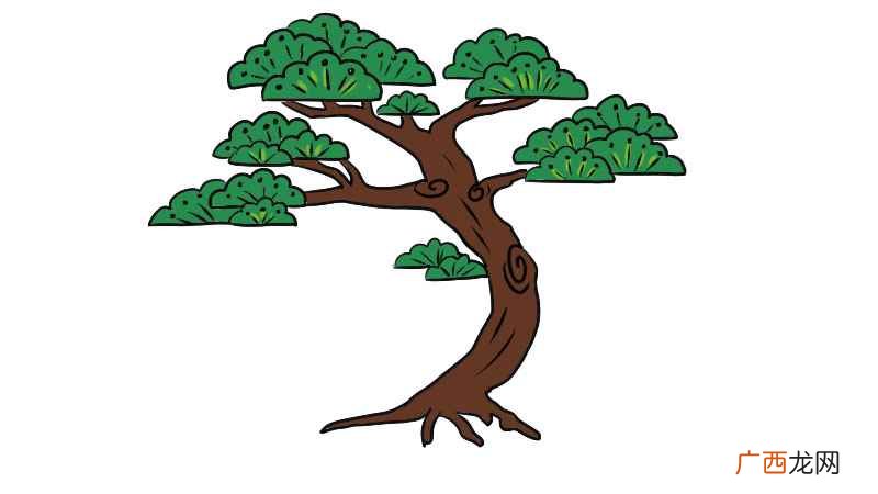 松树简笔画简单又好看 松树简笔画