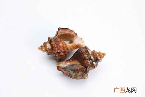 海螺煮多长时间最合适