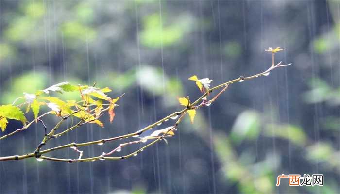 春雨惊春清谷天分别对应的节气 春雨惊春清谷天包含多少个节气