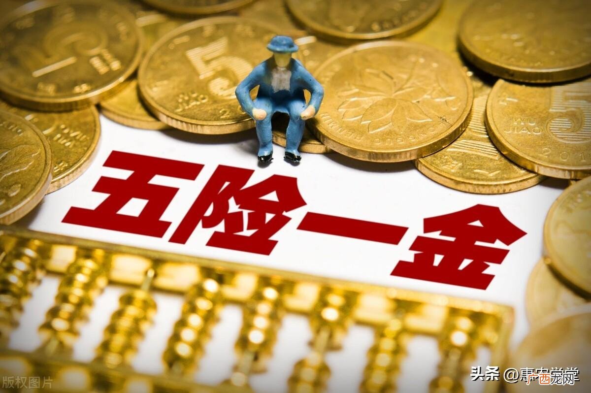 社保断缴怎么补缴啊自己怎么交 社保断缴怎么补缴啊