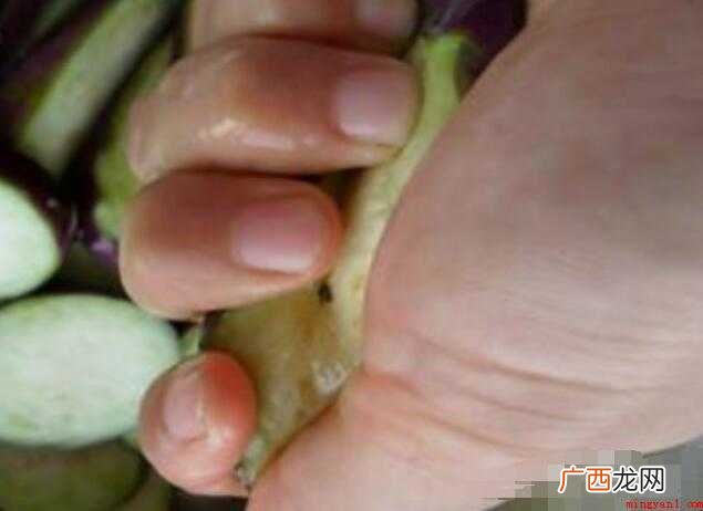 茄盒的简单做法是什么